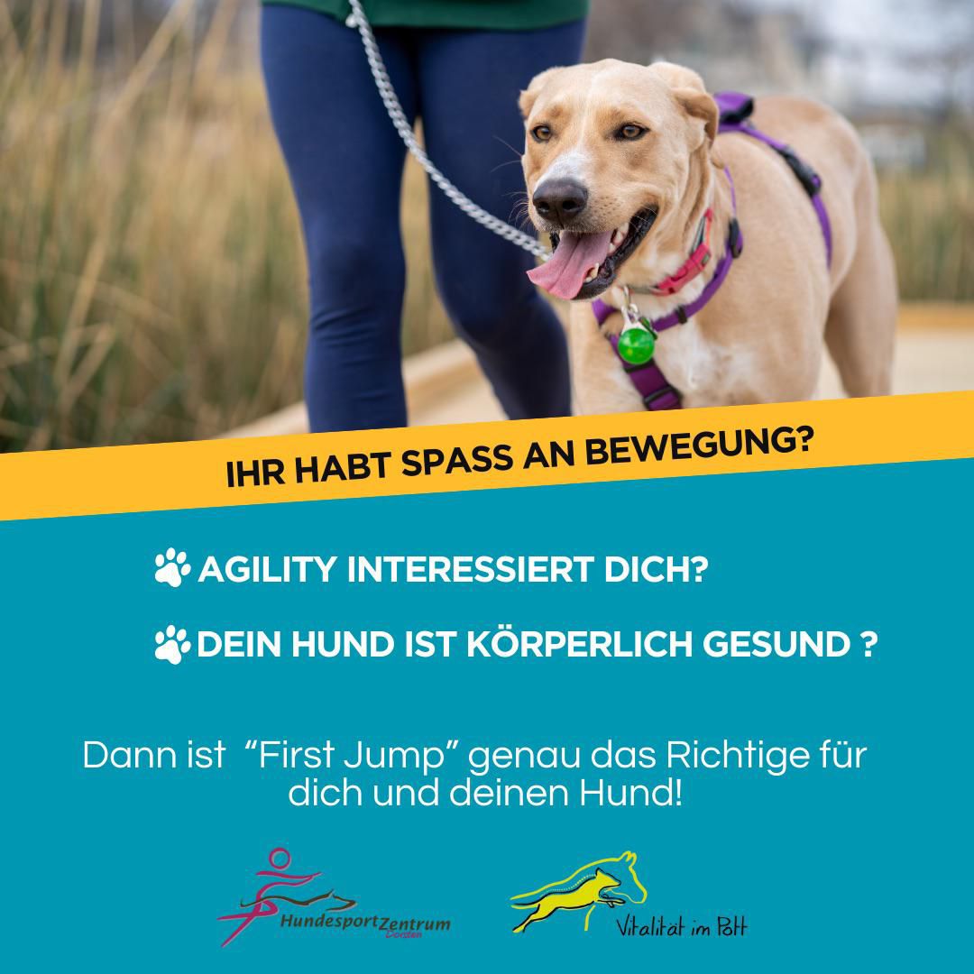 Bild1