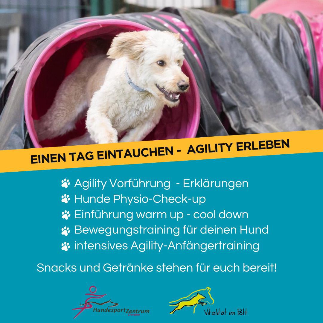 Bild2