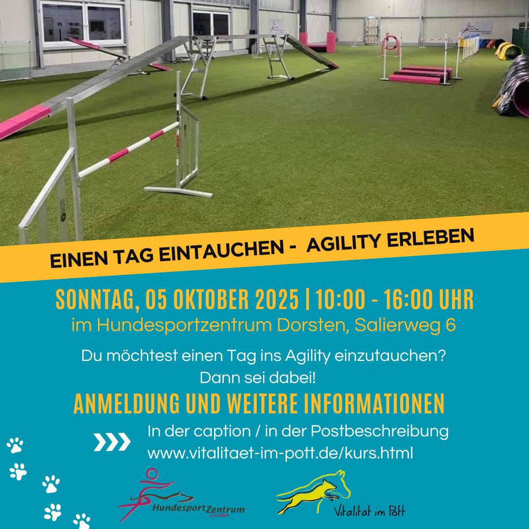 Bild3